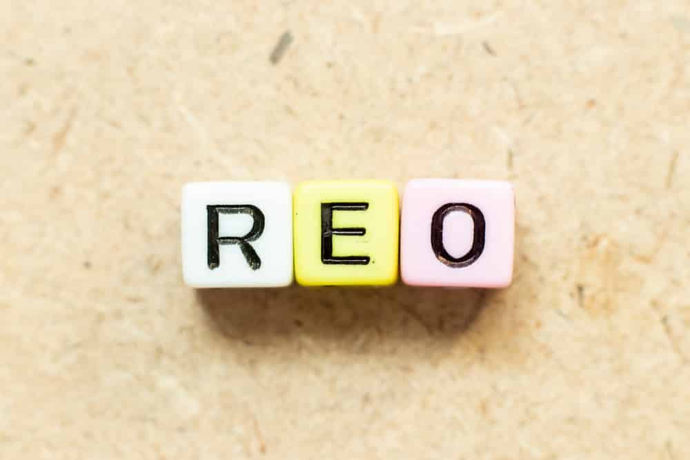 Considering Buying An REO Property? What You Need To Know